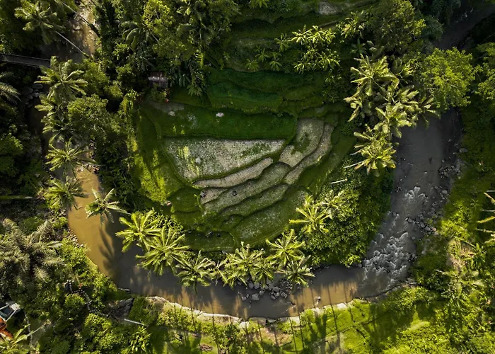 The Ridge Bali Villa Ubud 